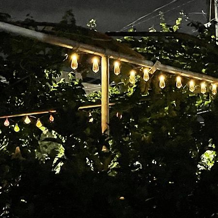 House Of Greenery Κουτάισι Εξωτερικό φωτογραφία
