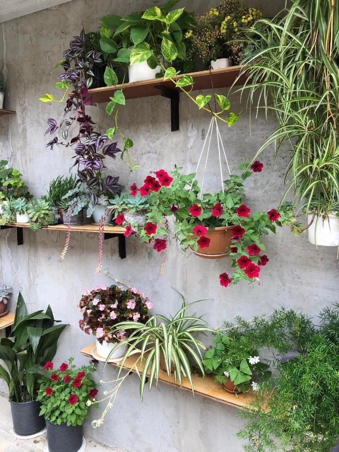 House Of Greenery Κουτάισι Εξωτερικό φωτογραφία