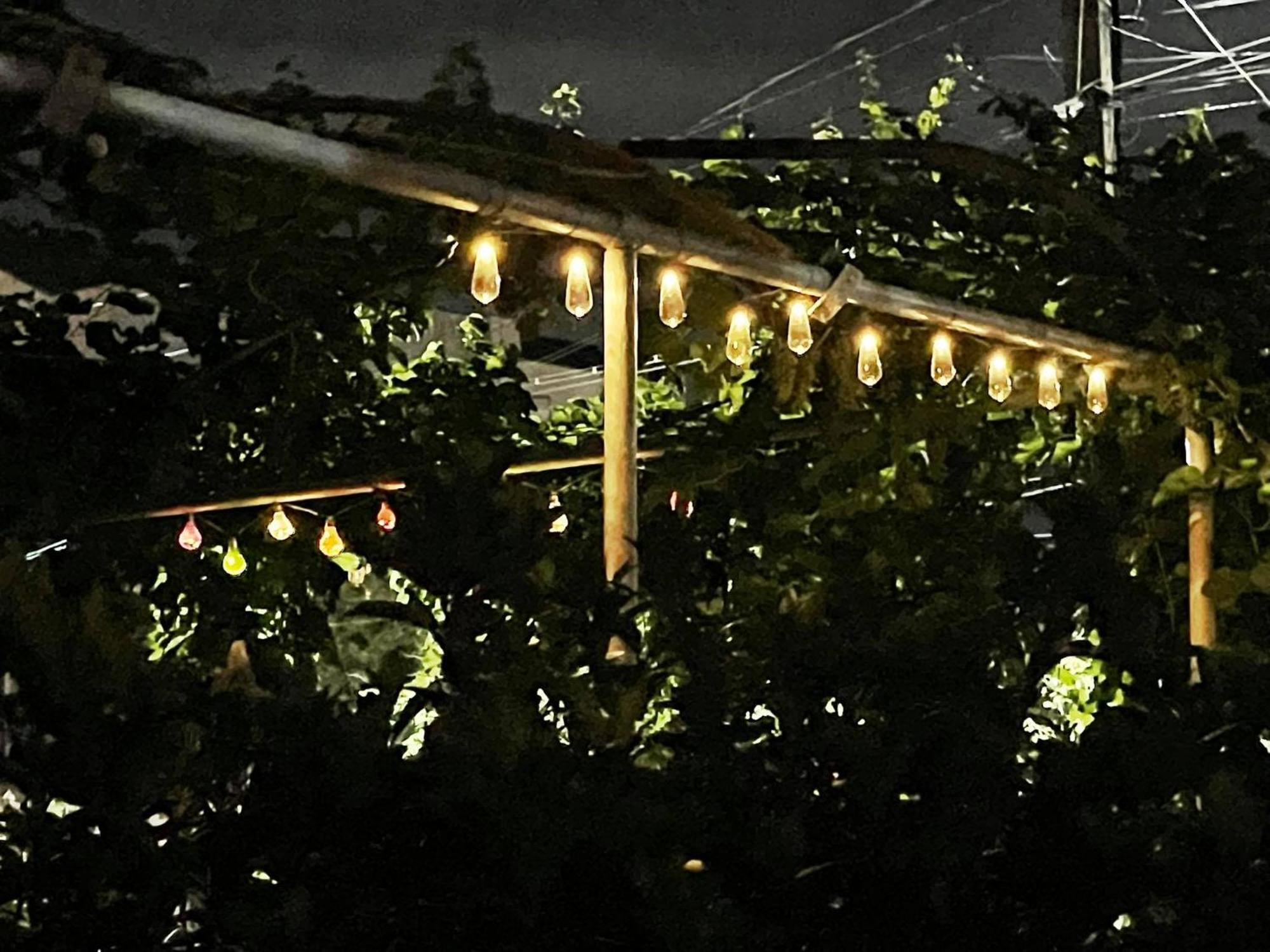 House Of Greenery Κουτάισι Εξωτερικό φωτογραφία