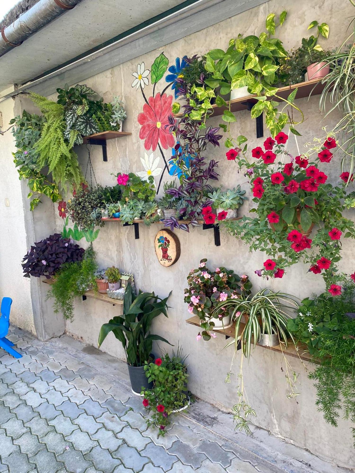 House Of Greenery Κουτάισι Εξωτερικό φωτογραφία